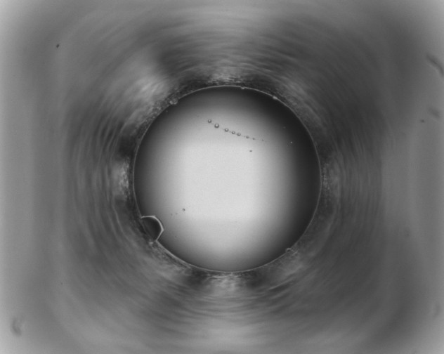 X0000103260127200808291226