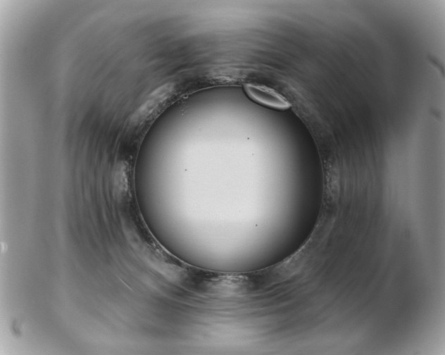 X0000103260128200808291226