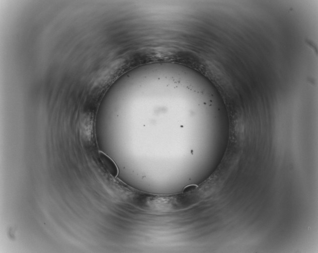 X0000103260129200808291226