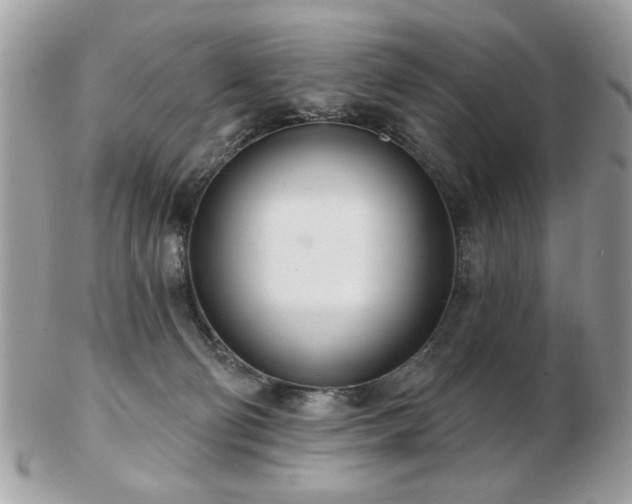 X0000103260130200808291226