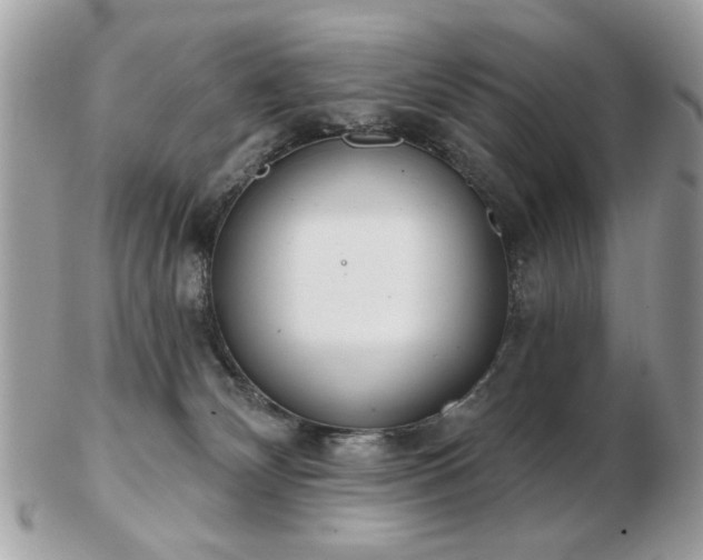 X0000103260132200808291226