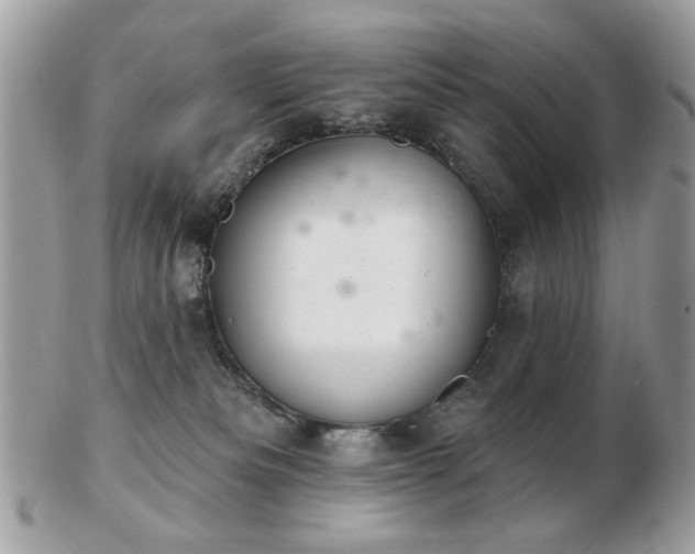 X0000103260133200808291226