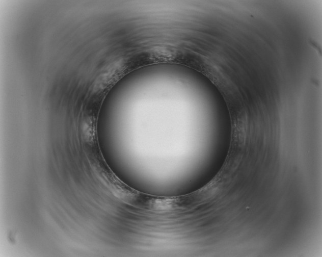 X0000103260134200808291226