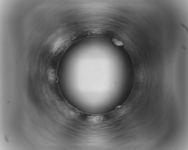 X0000103260135200808291226