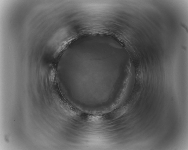 X0000103260139200808291226