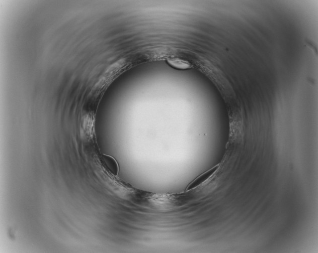 X0000103260142200808291226