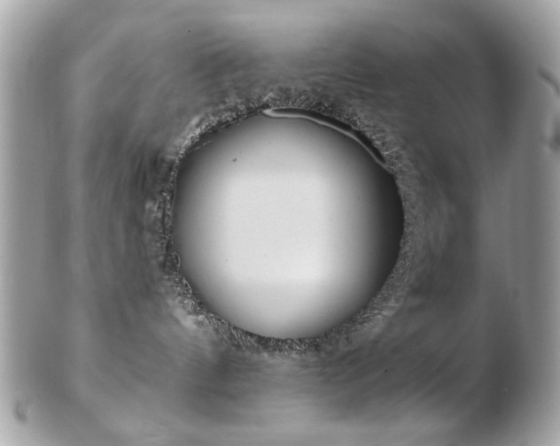 X0000103260144200808291226