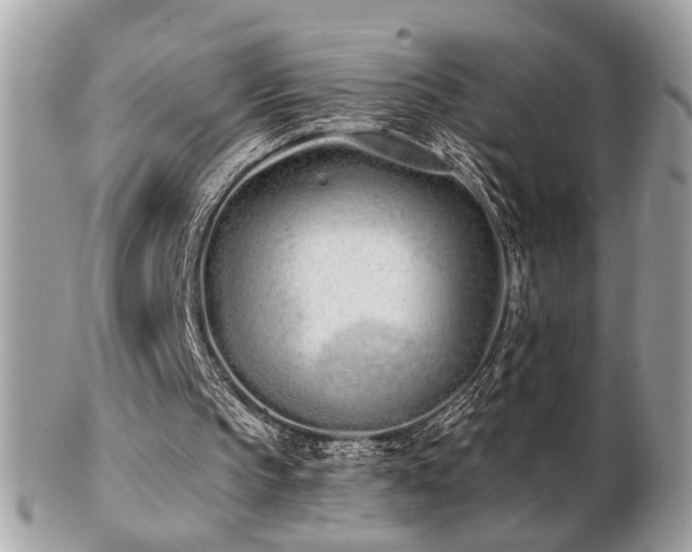 X0000103260145200808291225