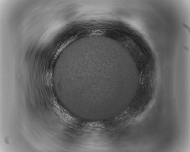 X0000103260146200808291225