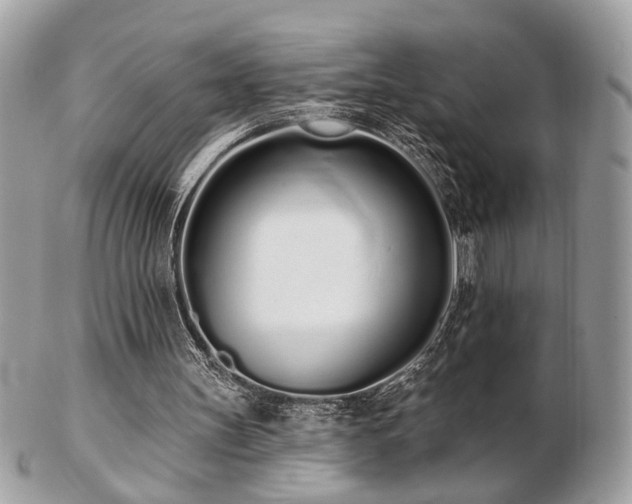 X0000103260147200808291225