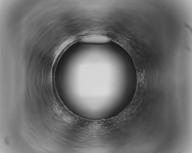 X0000103260148200808291225