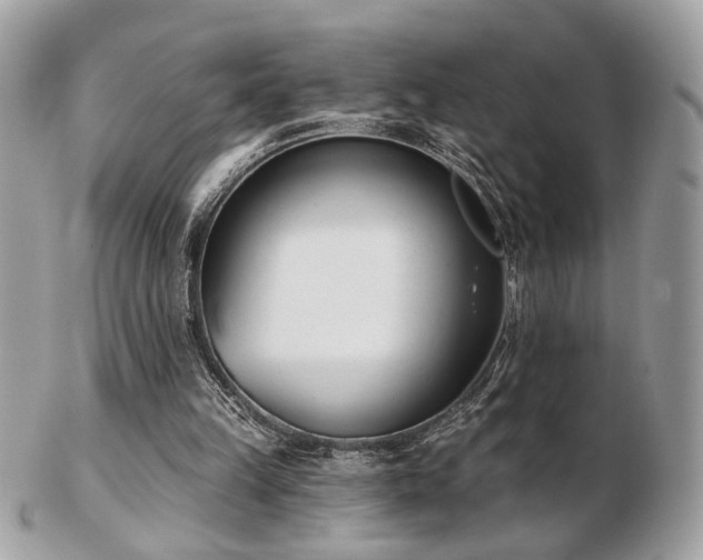 X0000103260149200808291225