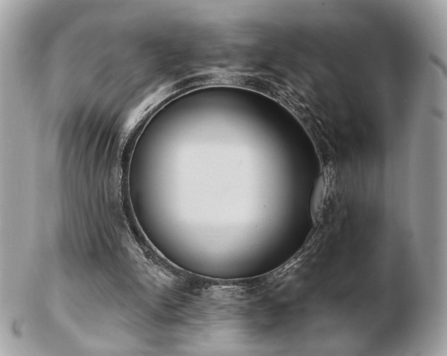 X0000103260150200808291225