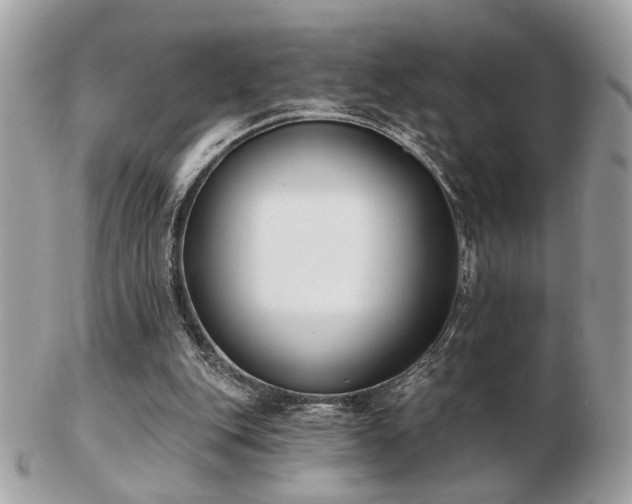 X0000103260151200808291225