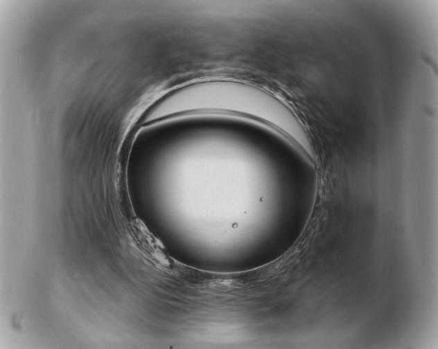 X0000103260152200808291225