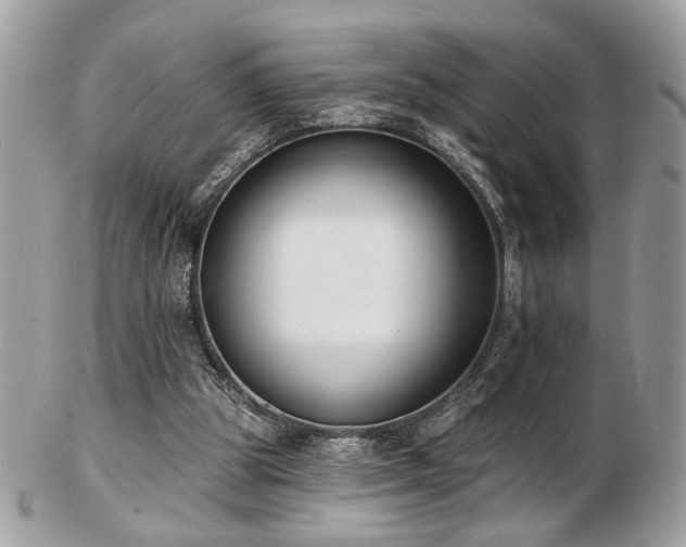 X0000103260153200808291225