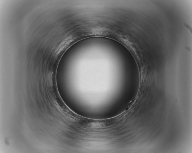 X0000103260154200808291225