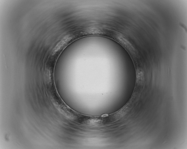 X0000103260158200808291225