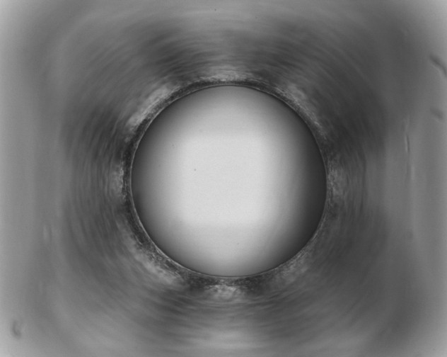 X0000103260159200808291226