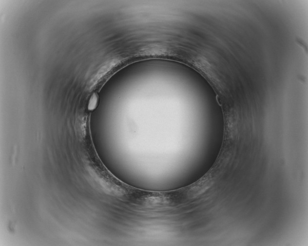 X0000103260160200808291226