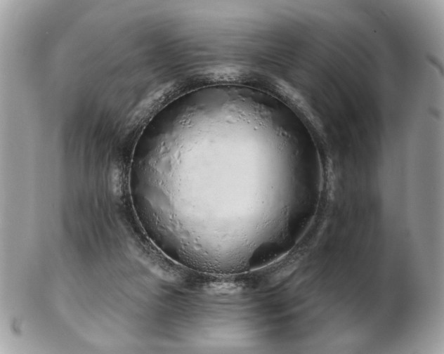 X0000103260161200808291226