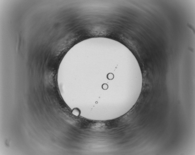 X0000103260162200808291226