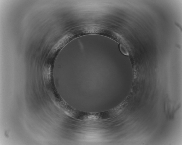 X0000103260163200808291226