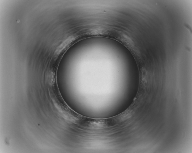 X0000103260164200808291226