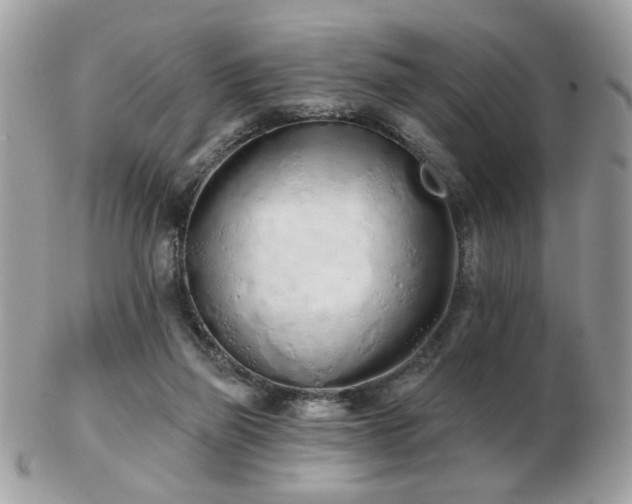 X0000103260165200808291226