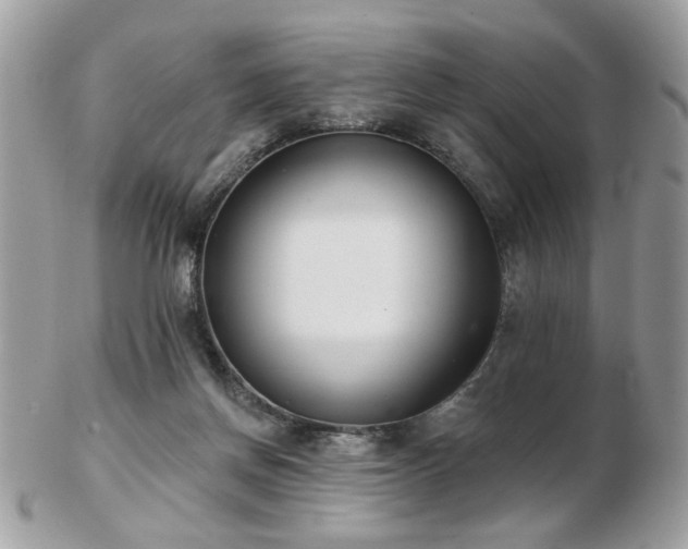 X0000103260166200808291226