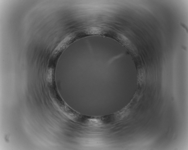 X0000103260167200808291226