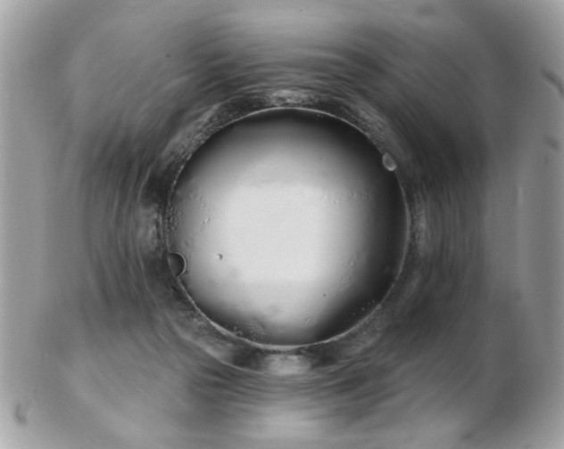 X0000103260169200808291226