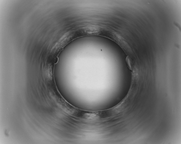 X0000103260170200808291226