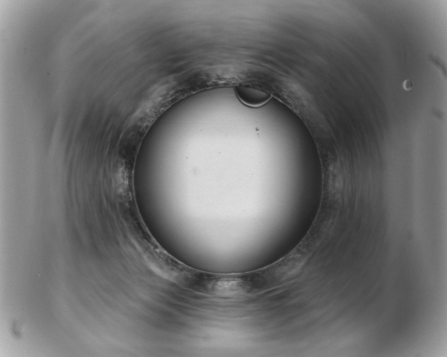 X0000103260173200808291226