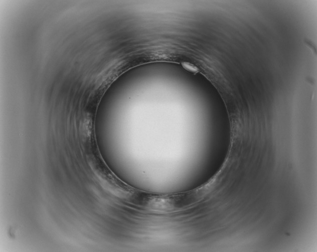 X0000103260174200808291226