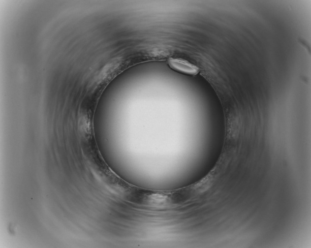 X0000103260176200808291226