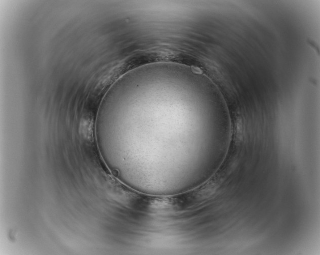 X0000103260177200808291226