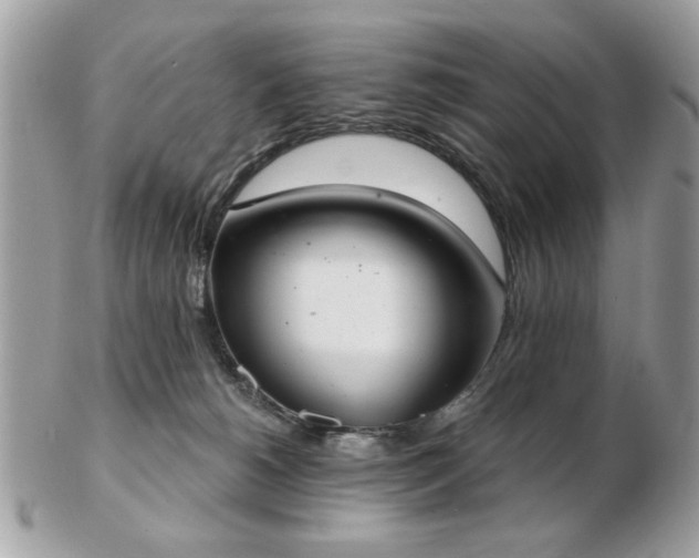 X0000103260180200808291226