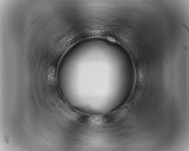 X0000103260181200808291226