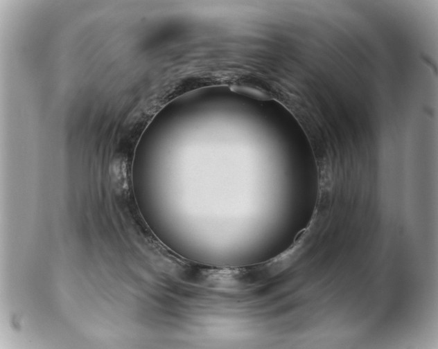 X0000103260182200808291226