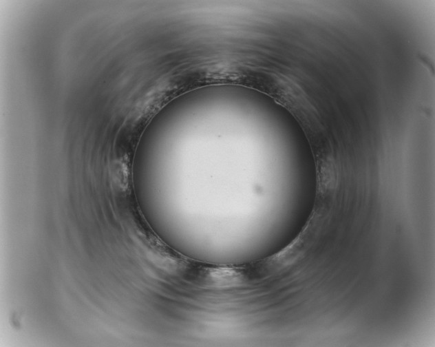 X0000103260183200808291226