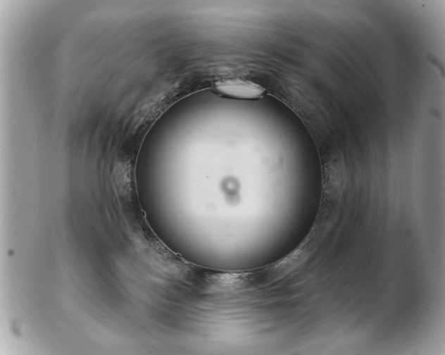 X0000103260184200808291226