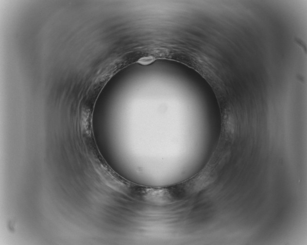 X0000103260185200808291226