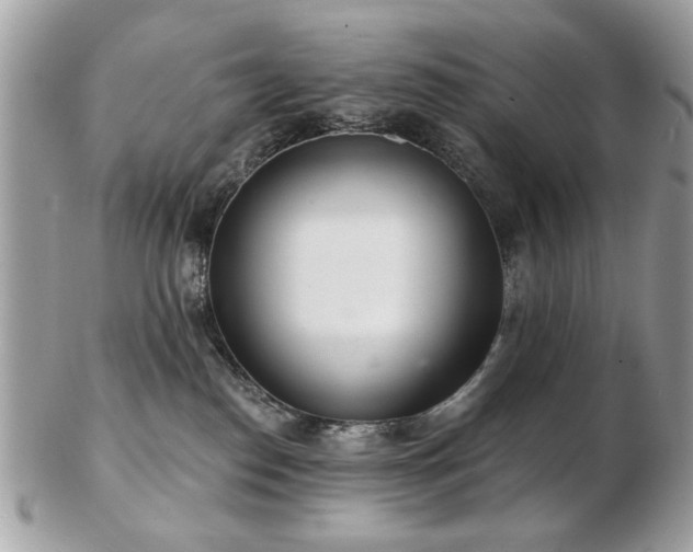 X0000103260186200808291226