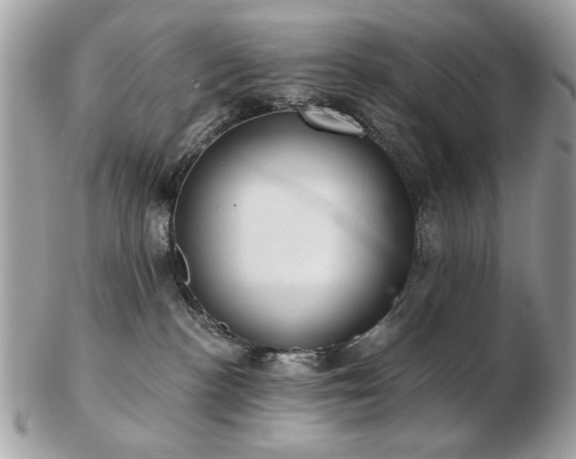 X0000103260188200808291226