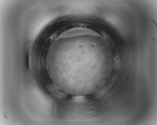 X0000103260189200808291226