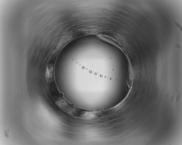 X0000103260190200808291226