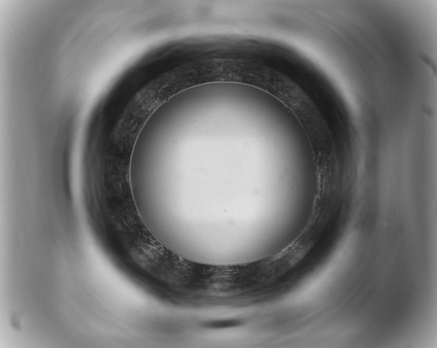 X0000103260191200808291226