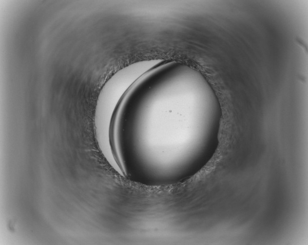 X0000103260192200808291226