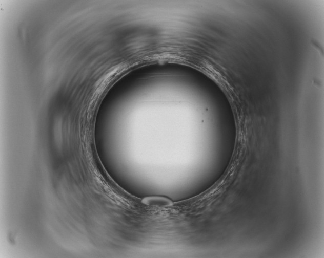 X0000103260193200808291225